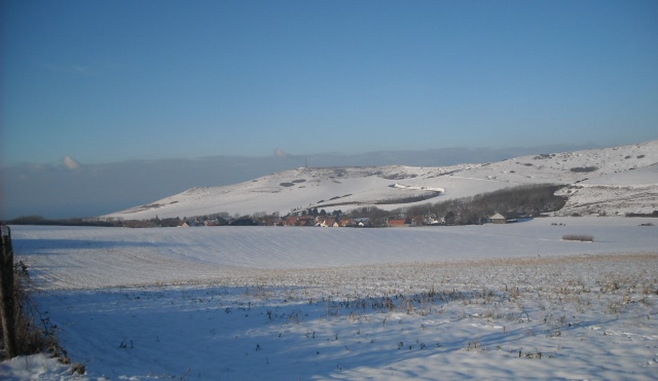 janvier 2013 179.JPG